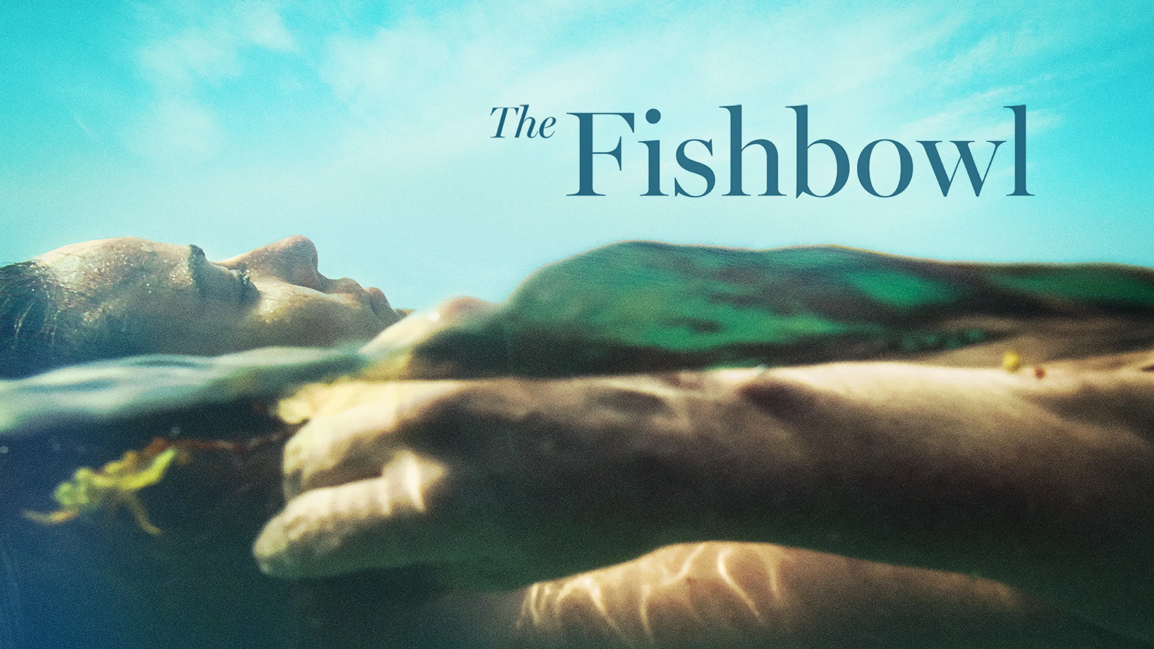 The Fishbowl poster